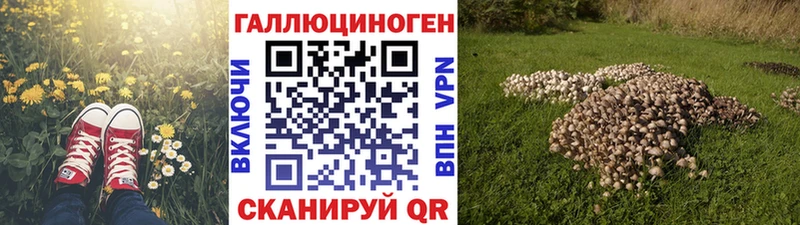 Галлюциногенные грибы мухоморы  цены   Чадан 