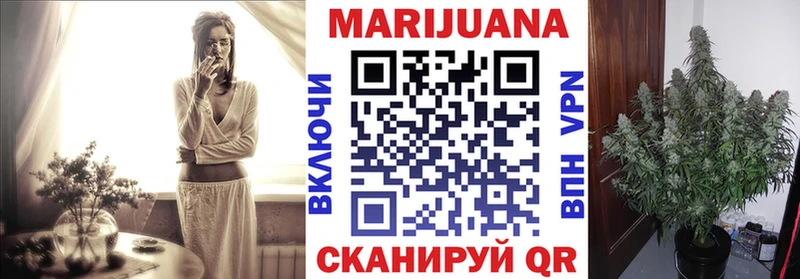 как найти закладки Чадан МЕГА рабочий сайт Каннабис индика
